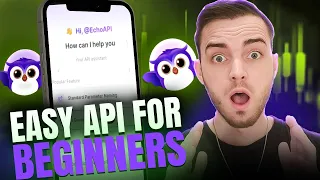 API for Beginners How APIs Work Easy API Testing with Echo API