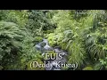 #Lagu #EuisSaliraAyaDimana         Lagu EUIS SALIRA AYA DIMANA - Deddy Krisna (@hendracokymusik1134 )