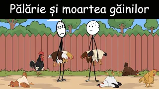 SINGURI ACASĂ: Pălărie Și Moartea Găinilor