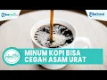 Lagu Luar Biasa Minum Kopi Hitam 3 Kali Sehari Tanpa Gula Bagus untuk Kesehatan Tubuh: Cegah Asam Urat