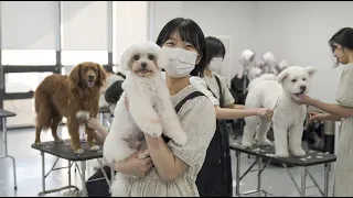 한파에도 마음이 따뜻해진 이유 (feat. 미용봉사)