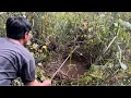 Download Lagu Nemu Spot Rawa Seluas Mata Memandang Membuat Lubang Dan Pesta Ikan2 Besar