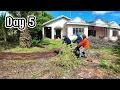 Download Lagu 5 Days of Hard Work – Finally Revealing the House Hidden for 7 Years