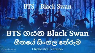 bts black swan bts black swan analysis part 1 5 black swan sinhala