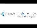 Flutter - Firebase ML Kit