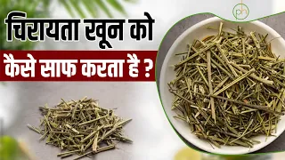 खून को करे साफ चिरायता जानें त्वचा के लिए इसके फायदे   Hakim Suleman Khan   Unani