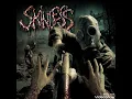 the optimist - skinless