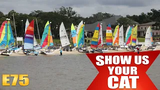 Show us your cat! Episode 75 Australia, UK and USA