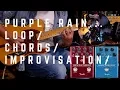 Download Lagu Purple Rain - Loop, Chords and Improvisation Ideas