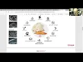 Made in Kapok Presentation by Jereon Muijsers from Flocus