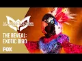 Download Lagu The Exotic Bird Is Revealed | Season 1 Ep. 6 | THE MASKED DANCER