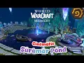 World Of Warcraft Suramar Pond Cinematic Void will consume you