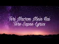 Lagu Teri Nazron Mein Hai Tere Sapne Lyrics #tamasha