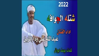شتله الجوافه 