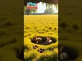 Flowers Sunshine Sky Nature Words Calm Happiness Bedtime Bunny Story Tiny ZigZag