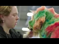Dan Deacon - Adriane in Wonderland (From 'Well Groomed' Original Score) (Official Video)