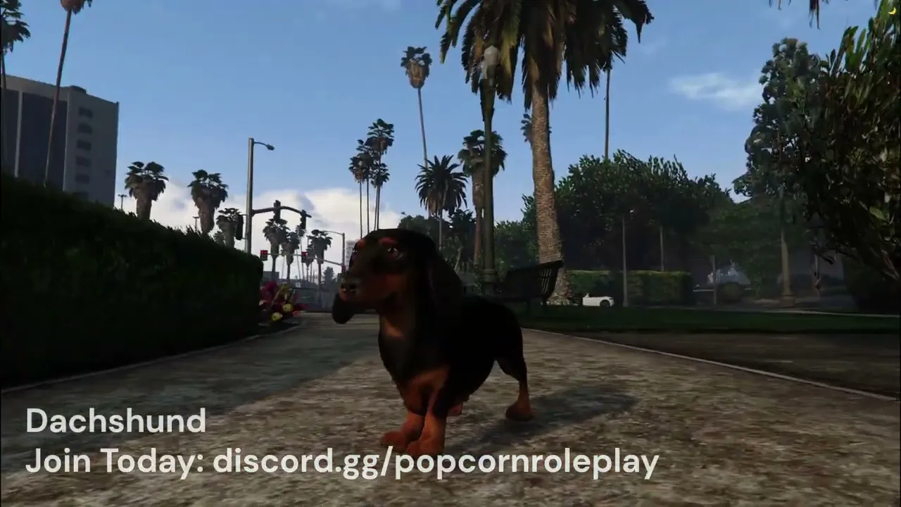 Daschund (weiner dog)