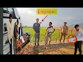 Download Lagu Farmland Revolution: Mr. Hassan's Family Invites an Engineer for Change