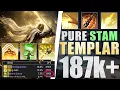 187k Pure Templar DPS Build U50