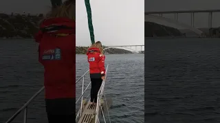 The calm right before the storm hit 🌊