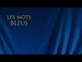 Les mots bleus - Johan Papaconstantino