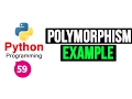 Python Programming Tutorial - Polymorphism