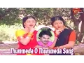 Download Lagu Thummeda O Thummeda Song | Srinivasa Kalyanam Songs | Venkatesh | Bhanupriya | Gowthami