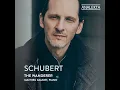 Piano Sonata No. 1 in E Major, D. 157: III. Menuetto. Allegro vivace - Trio - Mathieu Gaudet & Franz Schubert