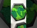 Moss wall art hexagon