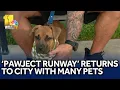 Pawject Runway brings adoptable pets to Baltimore