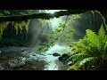 Lagu Forest Ambience | Birds Singing \u0026 Beautiful Stream Sounds for Peaceful Sleep,Deep Rest,Medicine ASMR
