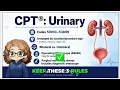 CPT Coding for Urinary System Kidney Ureter Bladder Urethra