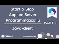 Effectively start stop Appium server programmatically - part 1