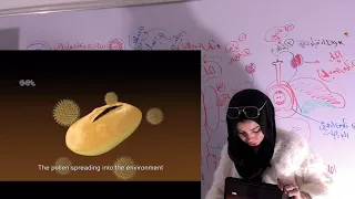 التكاثر في النبات الزهرية ج 2 تكوين حبوب اللقاح و تكوين البويضات 