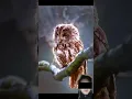 Download Lagu Dengar suara burung  hantu malam hari tanda musibah ? #shorts #reels #fyp #viral #animals