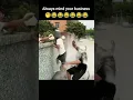 Download Lagu https://youtube.com/shorts/cfzPMw8v5G8?si=pm2wC13kraMFWjarisemode