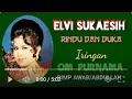 Download Lagu ELVI SUKAESIH  -  RINDU DAN DUKA