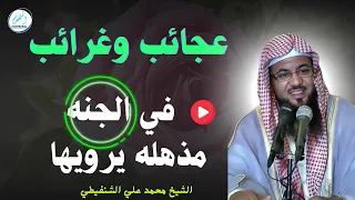 عجائب وغرائب في الجنه مذهله يرويها محمد بن علي الشنقيطي 