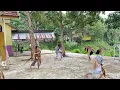 Download Lagu Sesi Latihan Tari Kompes Tebandeng - SSB HUMA PAMBELUM