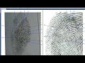 Saving a Fingerprint Comparison using FCS - The Basics