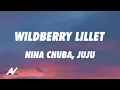 Download Lagu Nina Chuba, Juju - Wildberry Lillet REMIX (Lyrics)
