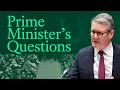 Download Lagu 🔴 PMQs LIVE: Prime Minister's Questions - 16 July 2025