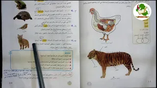 مادة العلوم للصف الرابع الابتدائي الفصل الثاني الدرس الثاني موضوع الحيوانات المركبه 