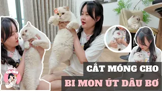 Nghỉ Lễ Cắt Móng Cho 5 Nhỏ Mèo | Anh Bi Khè Mẹ Na | Nhà cô Na #57