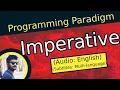 Imperative Programming Paradigm Programming Paradigm In English OOPs concepts