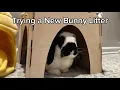Trying a New Bunny Litter Tractor Supply Pelletized Bedding