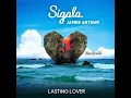 Lasting Lover - Sigala/James Arthur (Tiesto) Remix by RedzoR