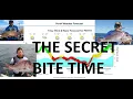 when is the best time to go fishing - how to understand peak bite times