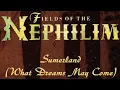 Fields Of The Nephilim - Sumerland - What Dreams May Come (lyrics)