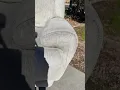 Free99 Zero Dollar Couch Flip from Facebook Marketplace